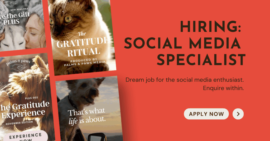 Social Media Specialist
